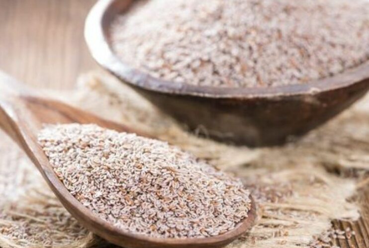 Por Que o Psyllium é Considerado um Super Alimento para a Saúde?