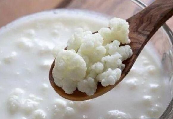 Pão de Kefir